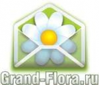 Логотип компании Доставка цветов Гранд Флора (ф-л г.Тихвин)